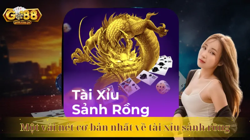 Một vài nét cơ bản nhất về game casino
